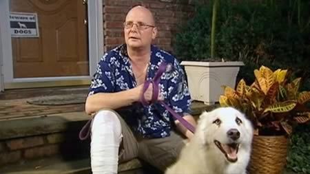 10 трогательных историй о собачьей преданности 10 трогательных историй о собачьей преданности