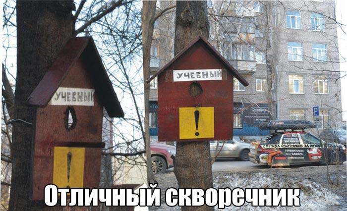 Прикольные картинки