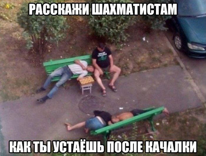 Прикольные картинки
