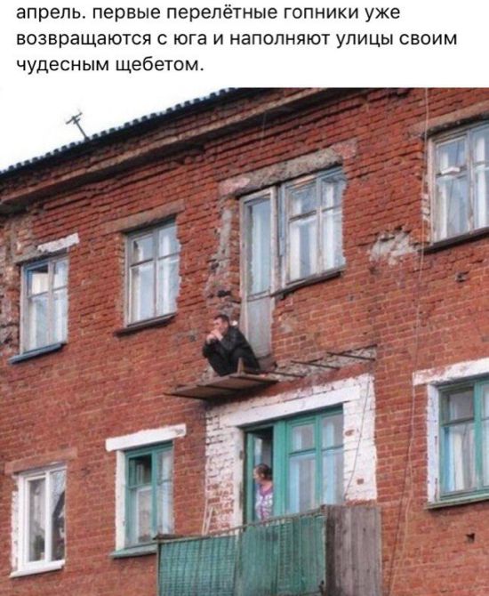 Прикольные картинки