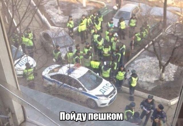 Прикольные картинки