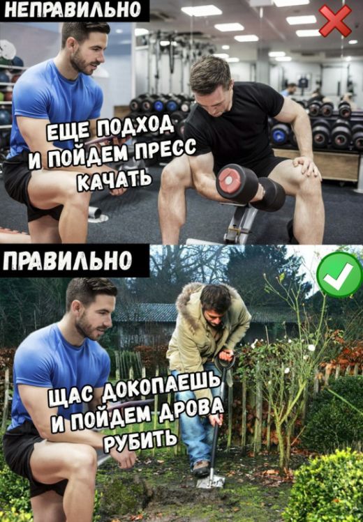 Прикольные картинки