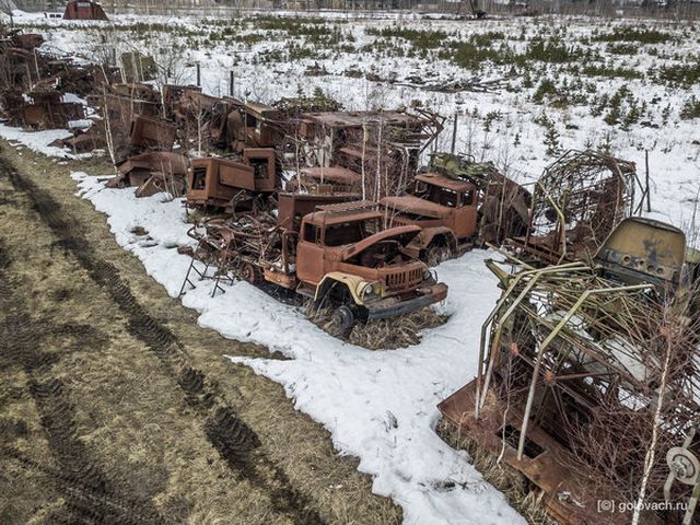Блогер наткнулся на кладбище сгоревших военных машин в лесу