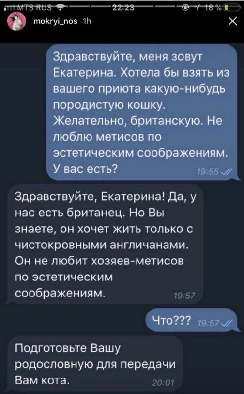 Юмор из соцсетей