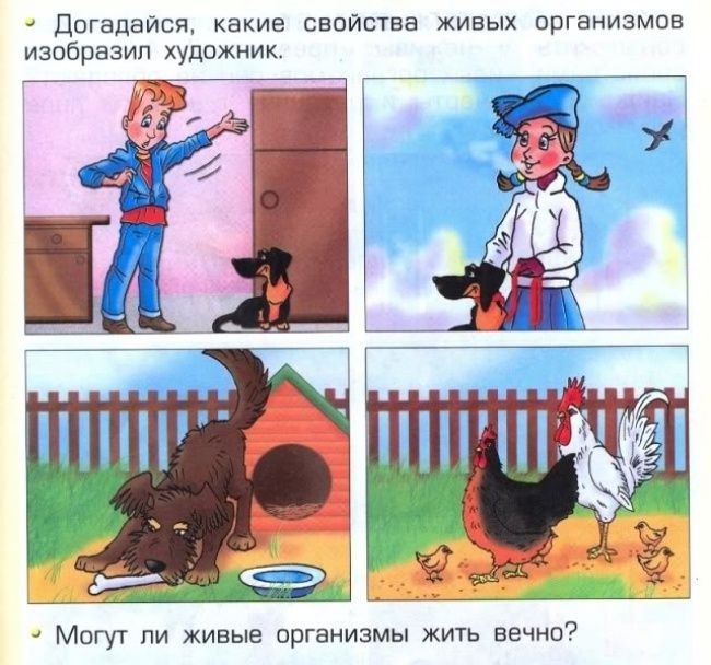 Идиотские учебники (25 фото)