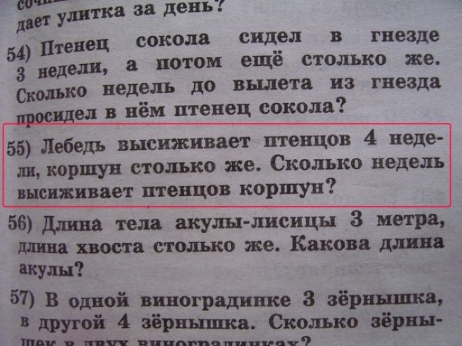 Идиотские учебники (25 фото)