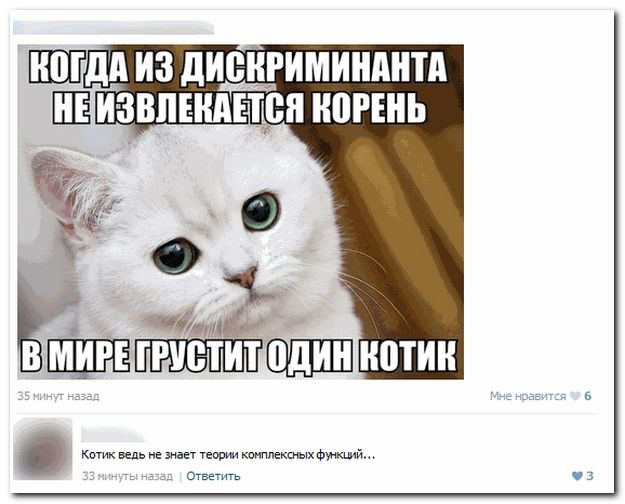 Веселые комментарии из социальных сетей (40 фото)
