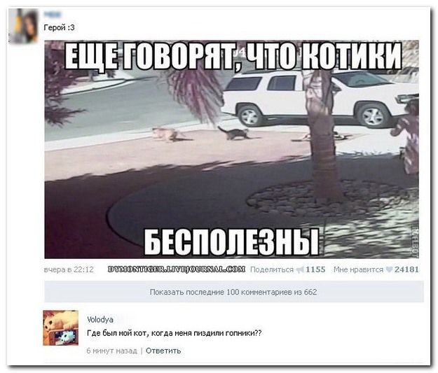 Веселые комментарии из социальных сетей (40 фото)