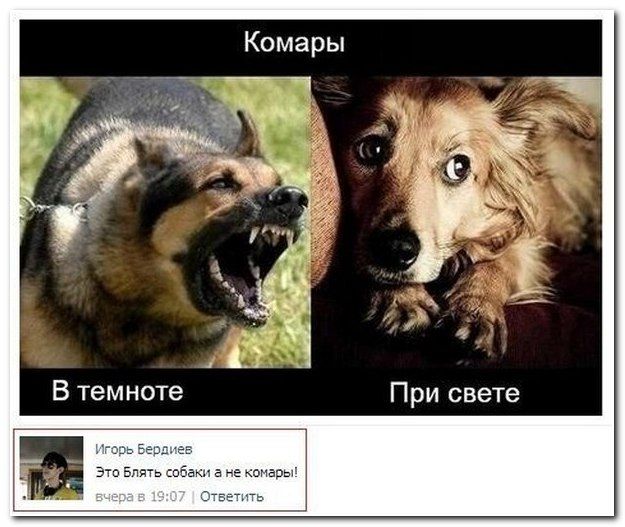 Веселые комментарии из социальных сетей (40 фото)