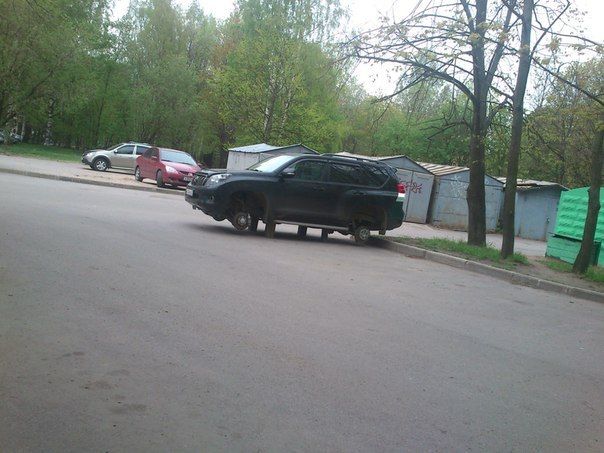 Прикольные картинки (64 фото)