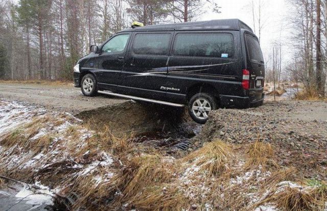 Прикольные картинки (64 фото)