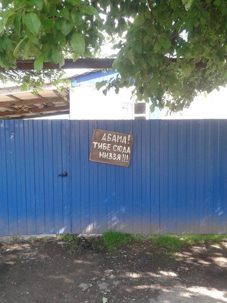 Прикольные картинки (64 фото)