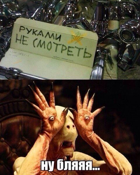 Прикольные картинки (64 фото)
