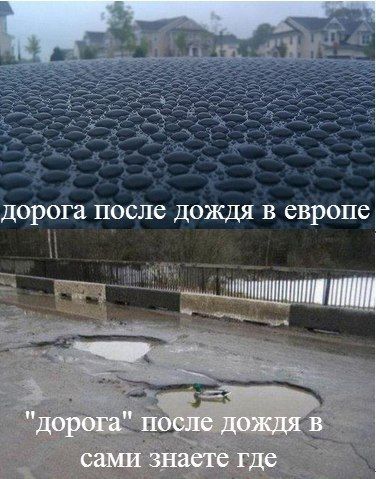 Прикольные картинки (64 фото)