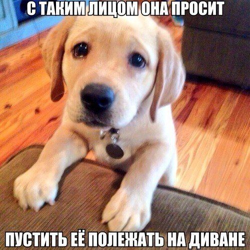 Прикольные картинки (64 фото)