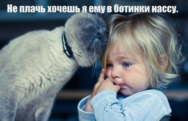 Прикольные картинки (64 фото)