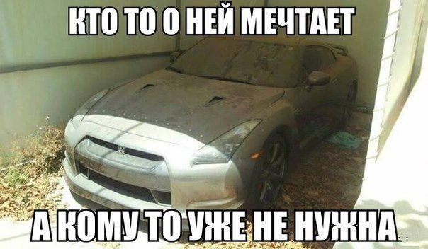 Прикольные картинки (64 фото)