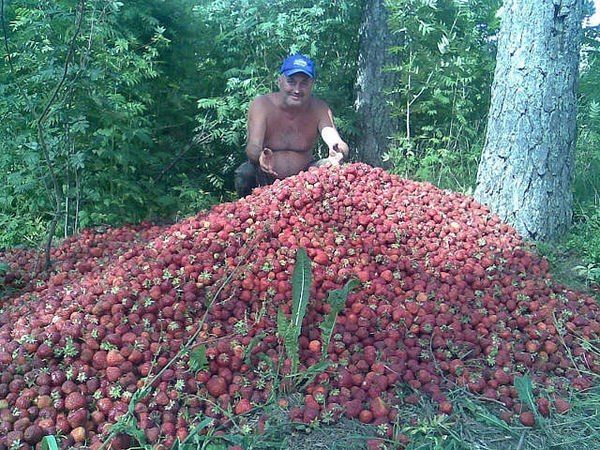 Прикольные картинки (64 фото)