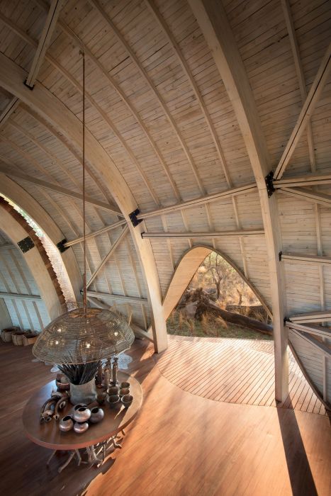 Отель, вдохновленный дикой природой
