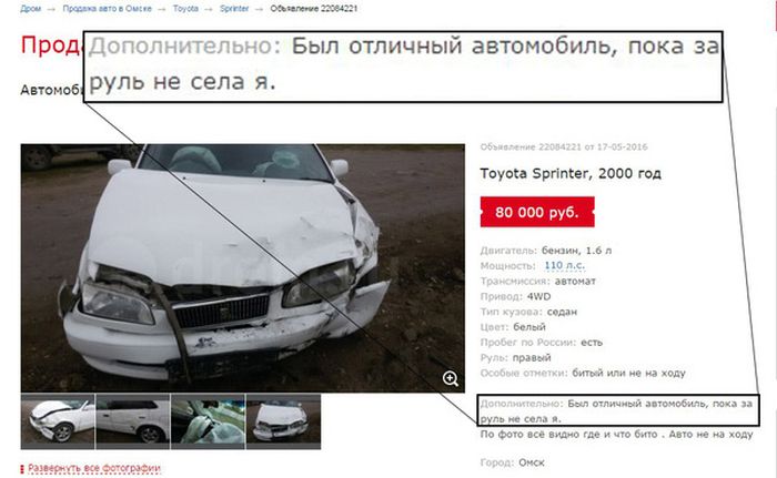 Прикольные картинки
