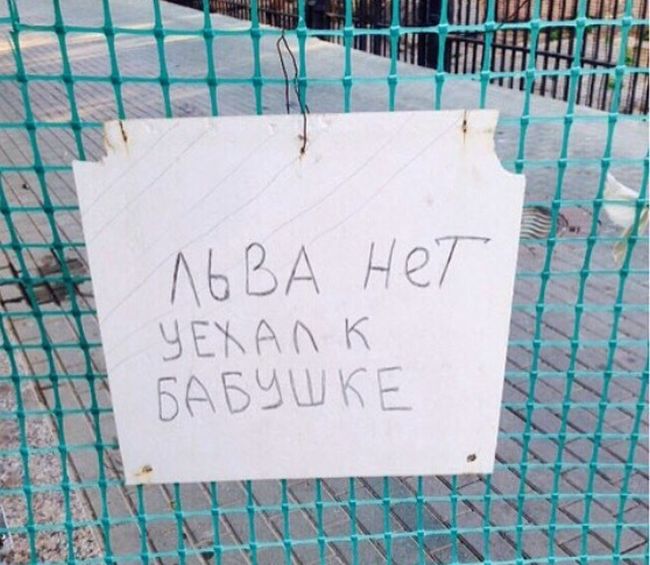 Прикольные картинки
