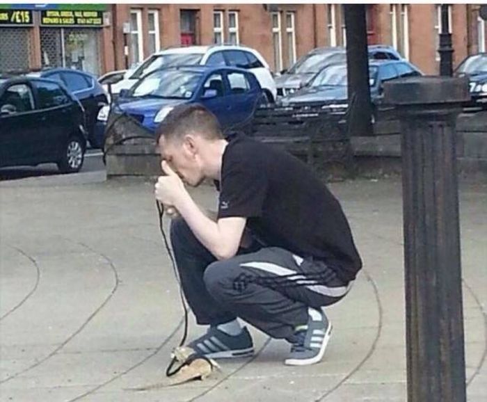 Прикольные картинки