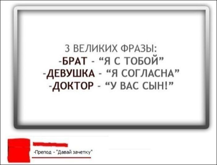 Смешные комментарии из соцсетей