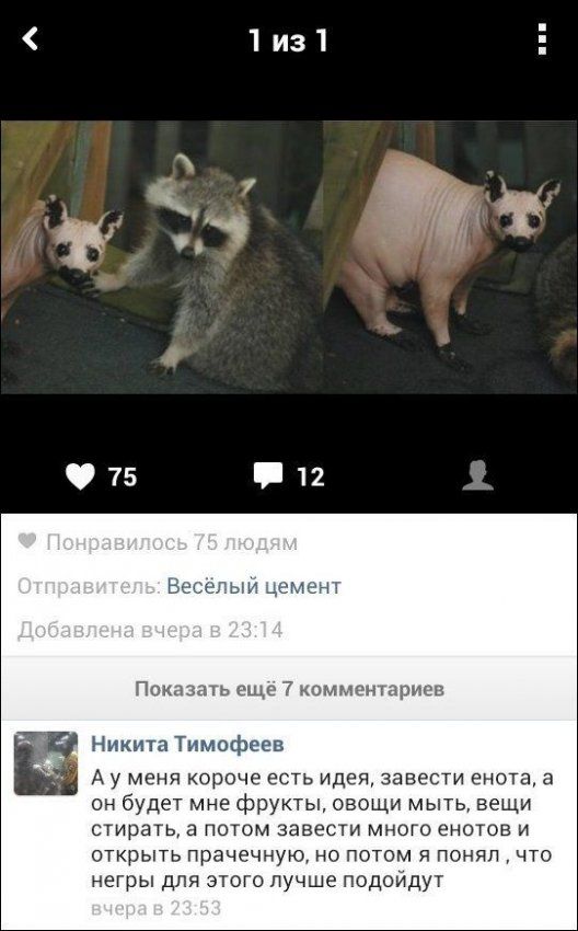 Смешные комментарии из соцсетей