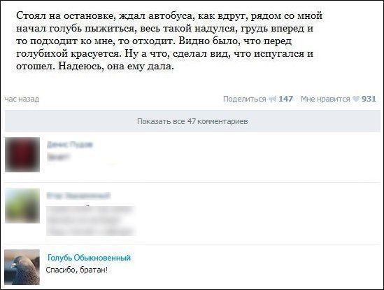 Смешные комментарии из соцсетей