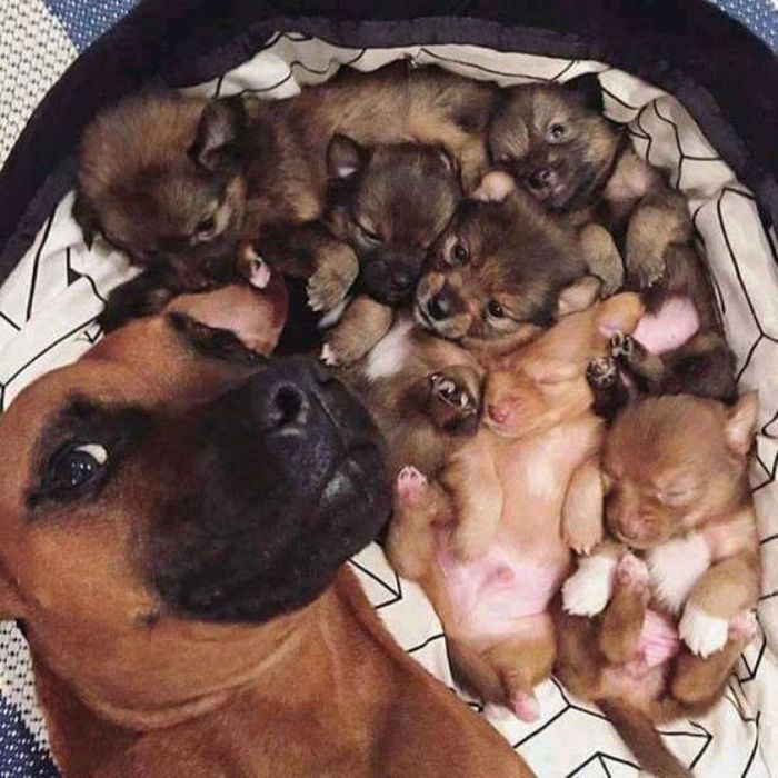 Коллекция эмоциональных снимков