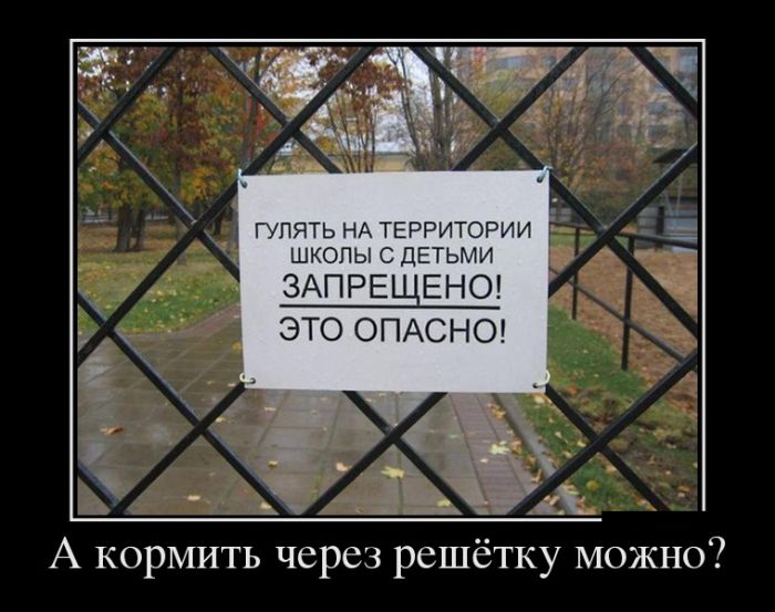 Демотиваторы