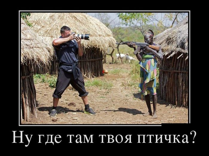 Демотиваторы