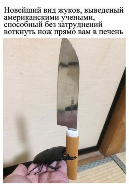 Подборка легкого юмора