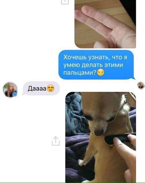 Подборка легкого юмора