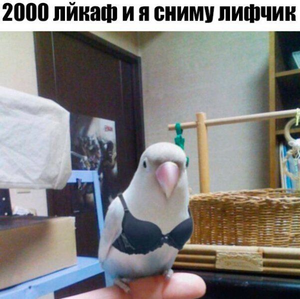 Подборка легкого юмора