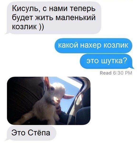 Подборка легкого юмора