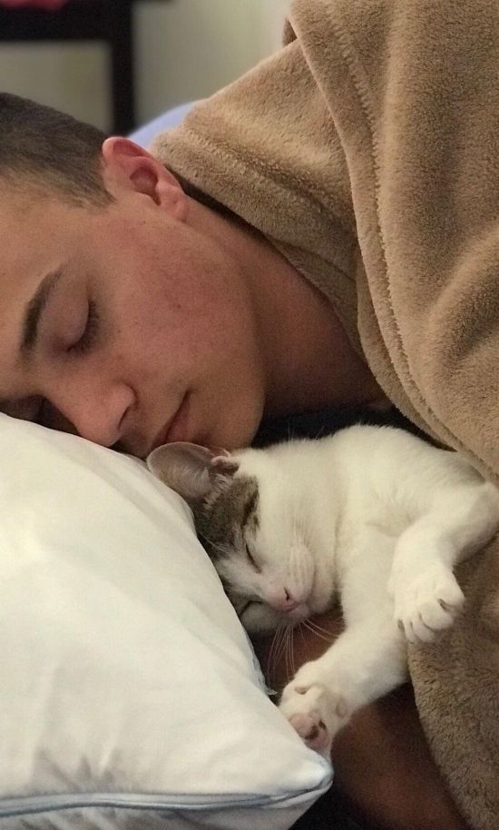 Чудесное преображение бездомного кота