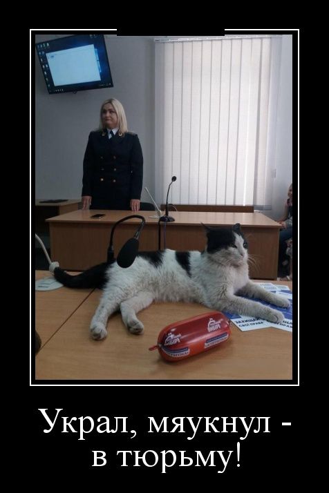 Демотиваторы