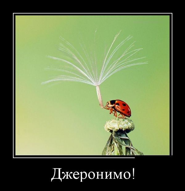 Демотиваторы