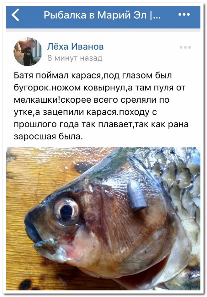 Забавные комментарии из социальных сетей