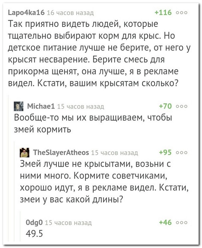 Забавные комментарии из социальных сетей
