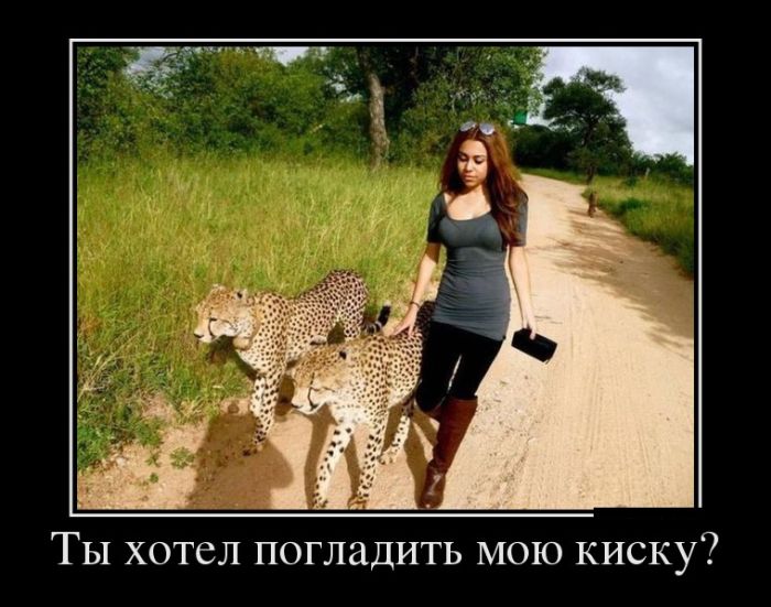 Демотиваторы