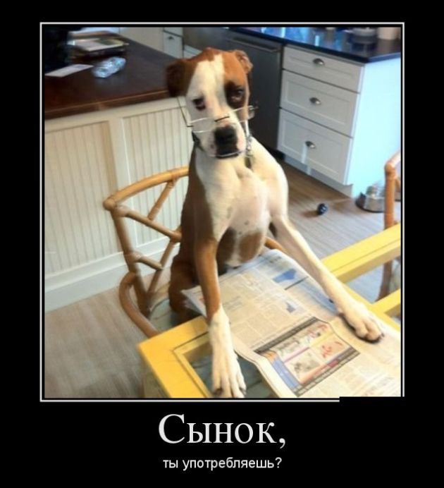 Демотиваторы
