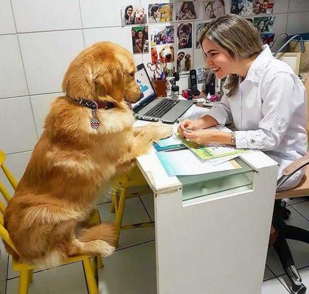 Прикольные картинки