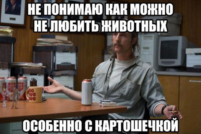 Прикольные картинки