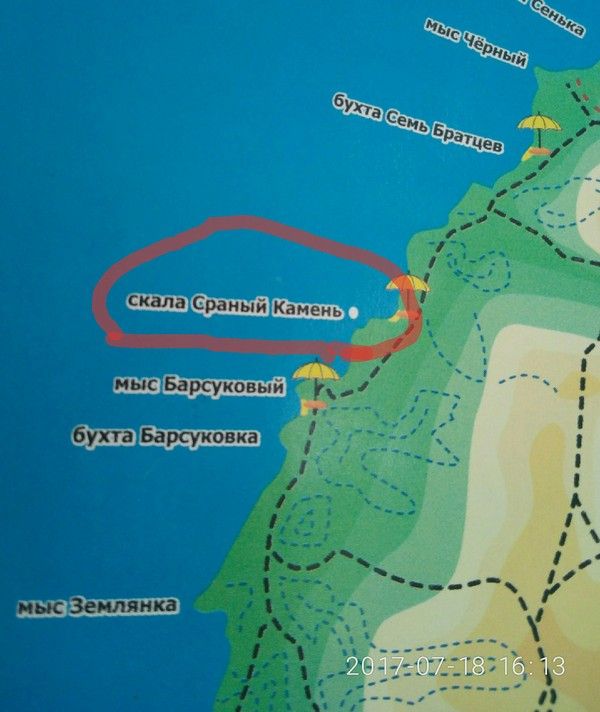 Прикольные картинки