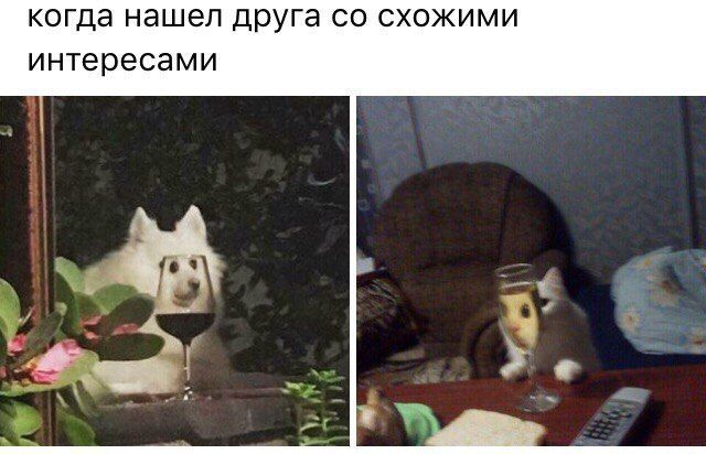 Прикольные картинки