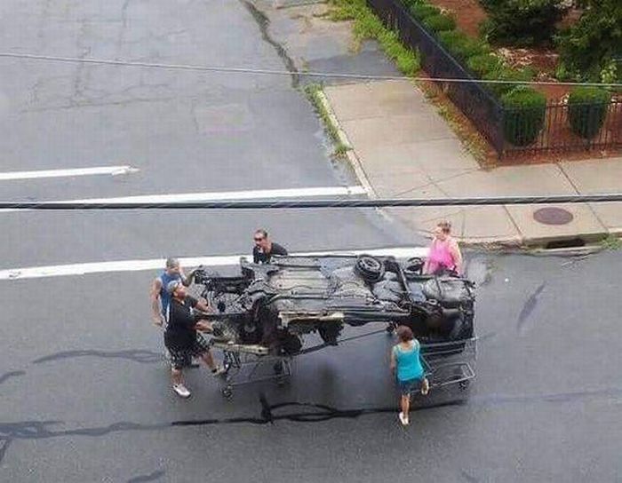 Прикольные картинки