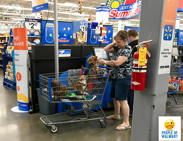 Экстравагантные покупатели Walmart