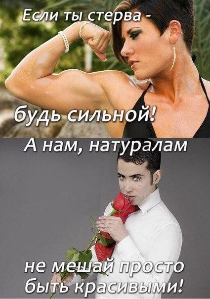 Подборка легкого юмора